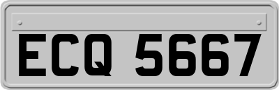 ECQ5667