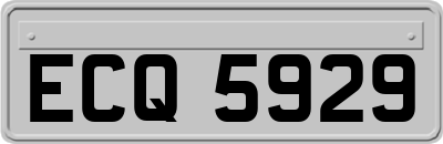 ECQ5929