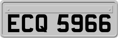 ECQ5966