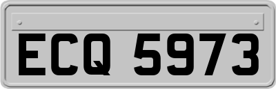 ECQ5973