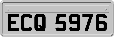 ECQ5976