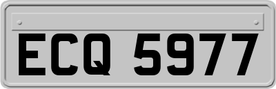 ECQ5977