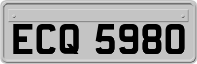 ECQ5980
