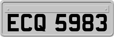 ECQ5983