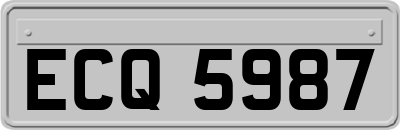 ECQ5987