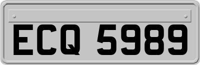 ECQ5989