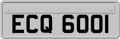 ECQ6001