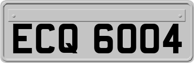 ECQ6004