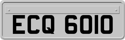 ECQ6010