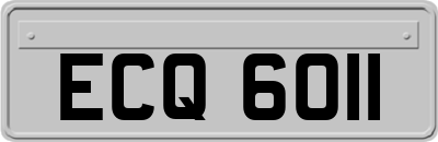 ECQ6011