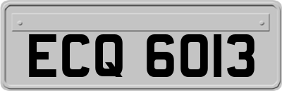 ECQ6013