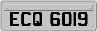ECQ6019