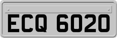 ECQ6020