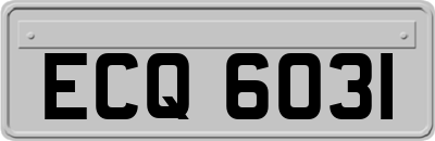 ECQ6031