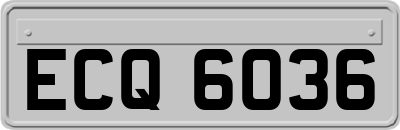 ECQ6036