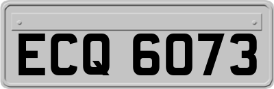 ECQ6073