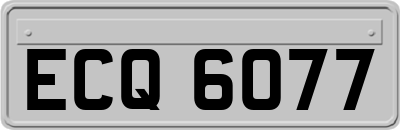 ECQ6077