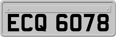 ECQ6078
