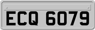 ECQ6079