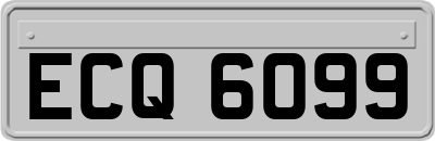 ECQ6099