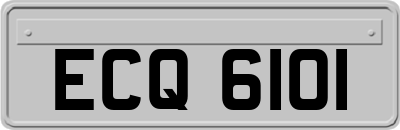 ECQ6101