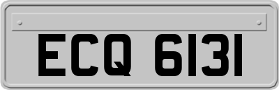 ECQ6131