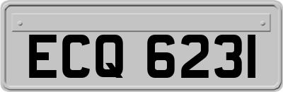 ECQ6231