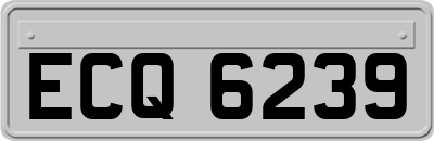 ECQ6239
