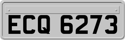 ECQ6273