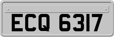 ECQ6317