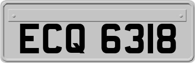 ECQ6318