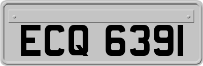 ECQ6391