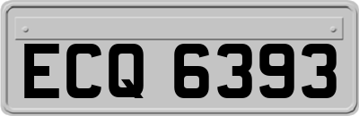 ECQ6393