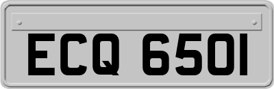 ECQ6501