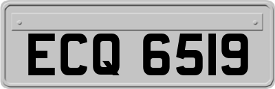 ECQ6519