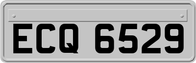 ECQ6529