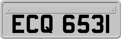ECQ6531