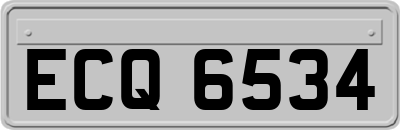 ECQ6534