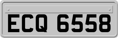 ECQ6558