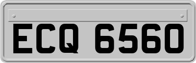 ECQ6560