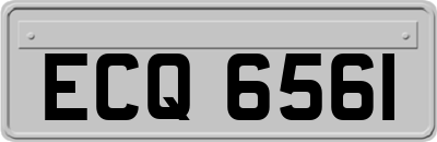 ECQ6561