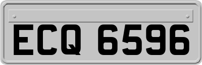 ECQ6596