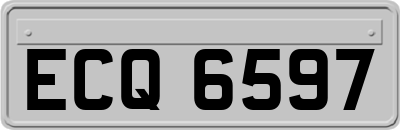 ECQ6597