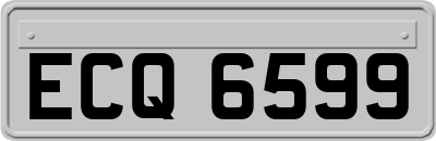 ECQ6599