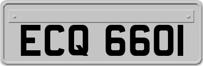 ECQ6601