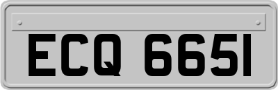 ECQ6651