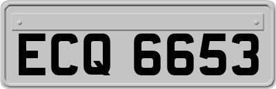 ECQ6653
