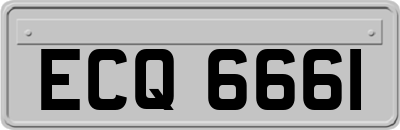 ECQ6661