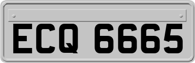 ECQ6665