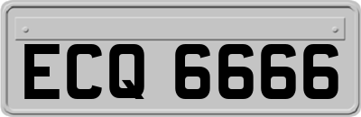 ECQ6666
